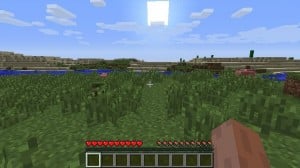 minecraftcapture_25102012_164718